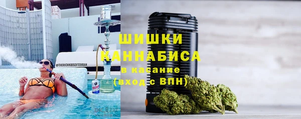 стаф Гусев