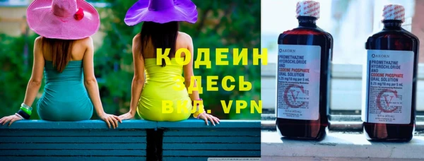 стаф Гусев