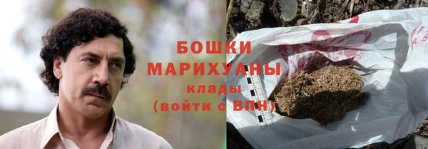 стаф Гусев