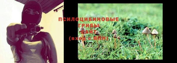 mdpv Гусиноозёрск