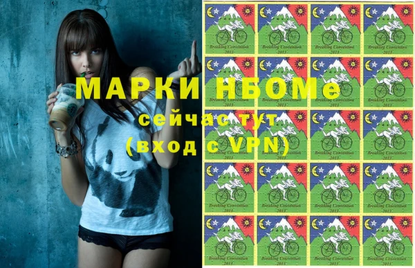 стаф Гусев