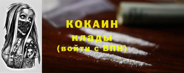 стаф Гусев