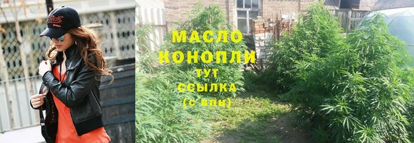 стаф Гусев