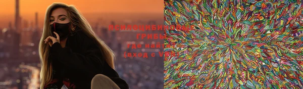 стаф Гусев